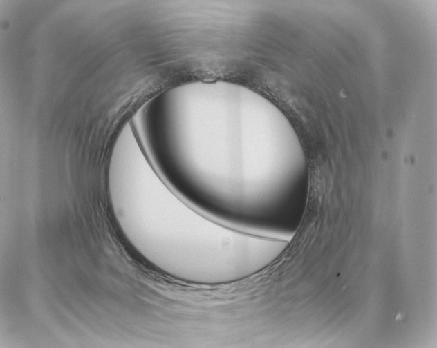 X0000086920027200704161045