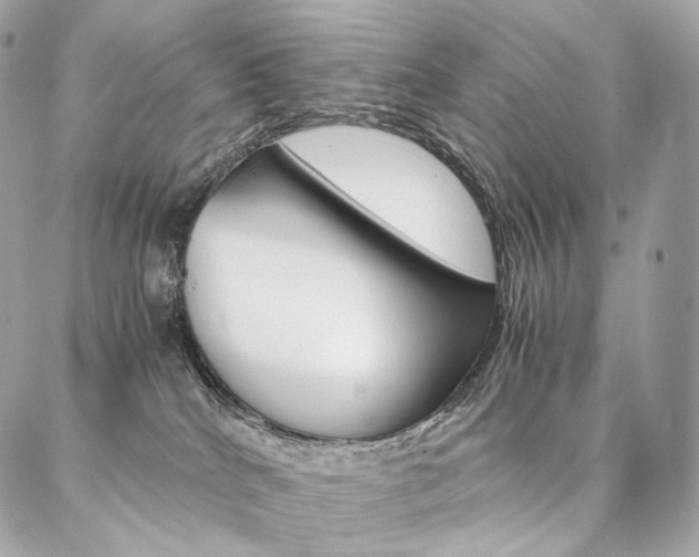 X0000086920040200704161045
