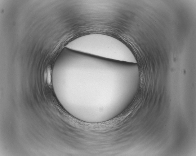 X0000086920046200704161045
