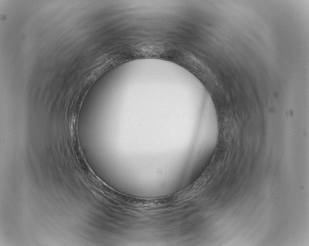 X0000086920075200704161045