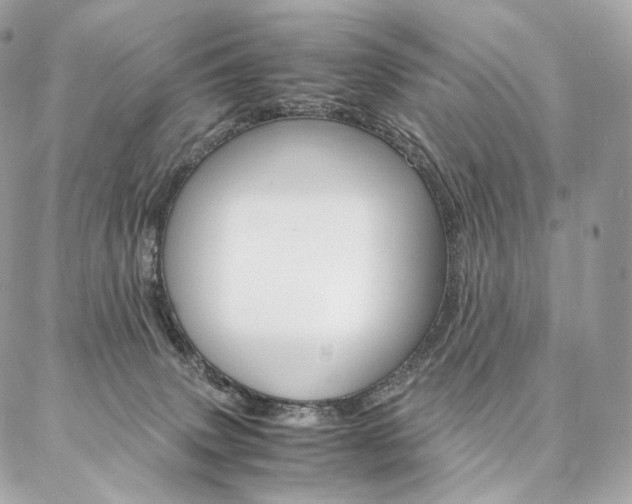 X0000086920083200704161045
