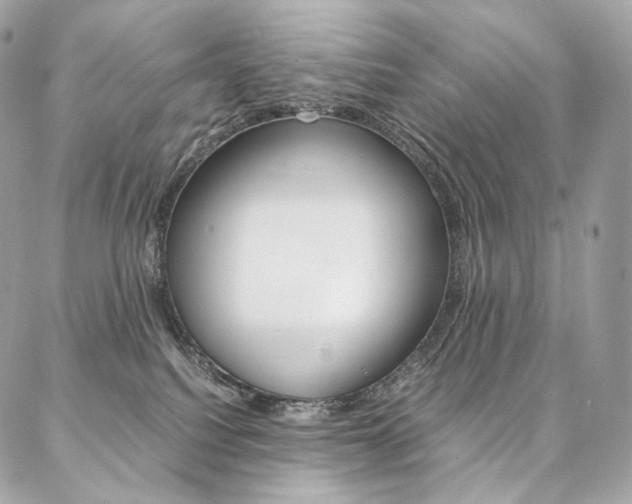 X0000086920088200704161045