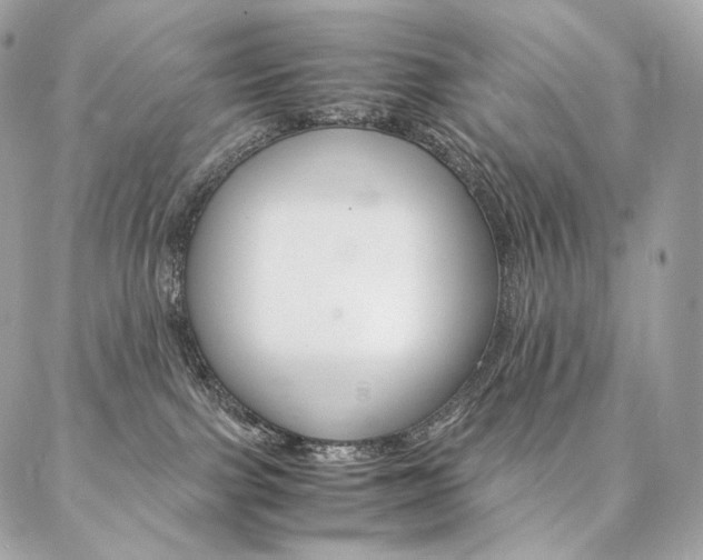 X0000086920091200704161045