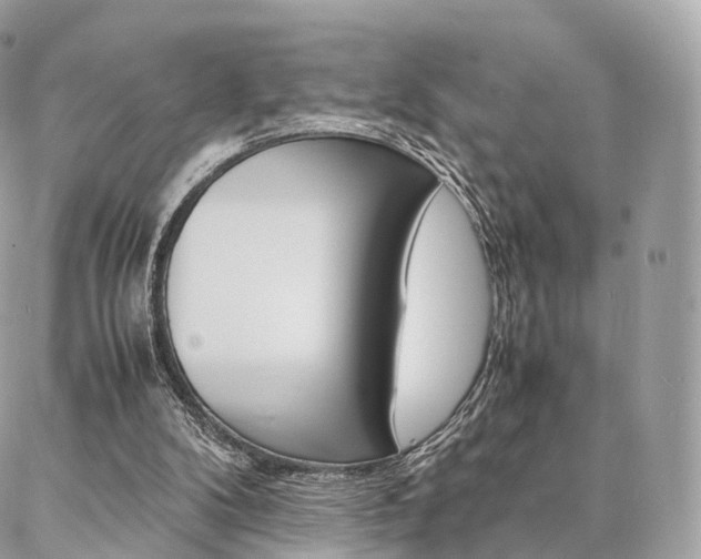 X0000086920104200704161044