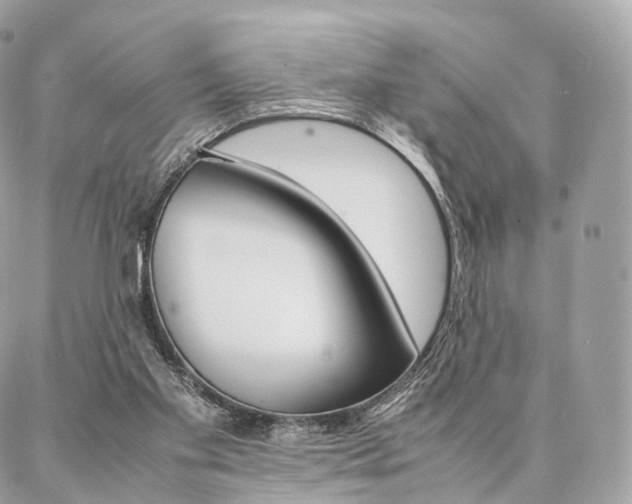 X0000086920109200704161044