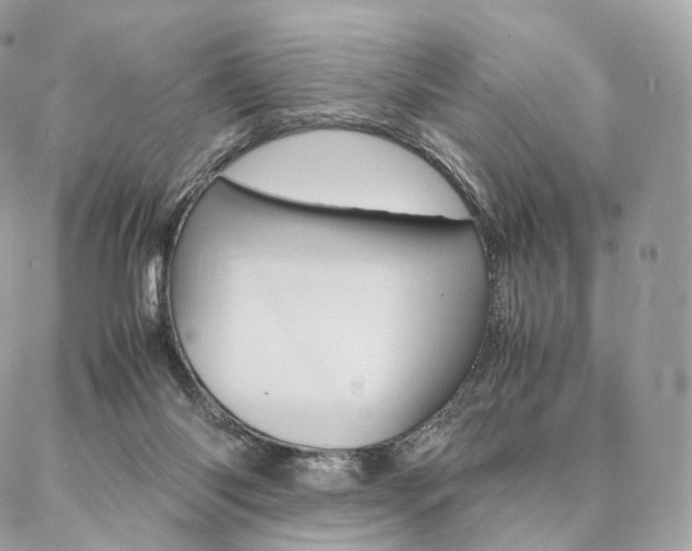 X0000086920118200704161044