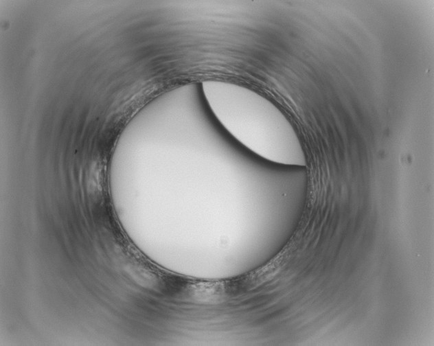 X0000086920126200704161044