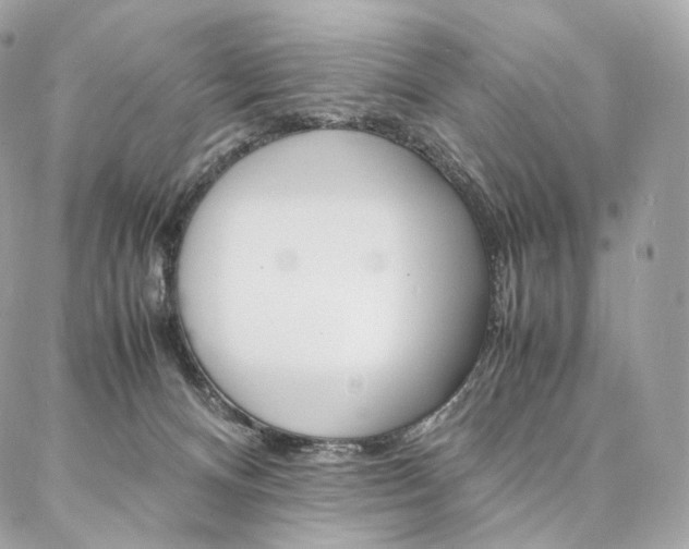 X0000086920128200704161044