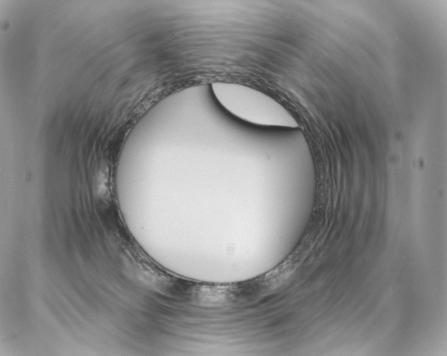 X0000086920134200704161044