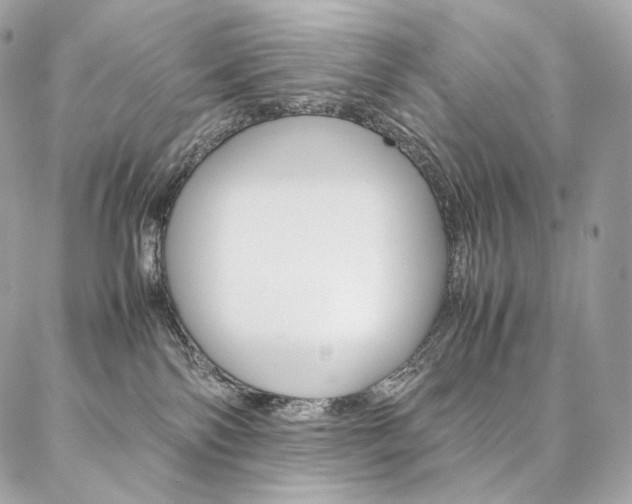X0000086920138200704161043