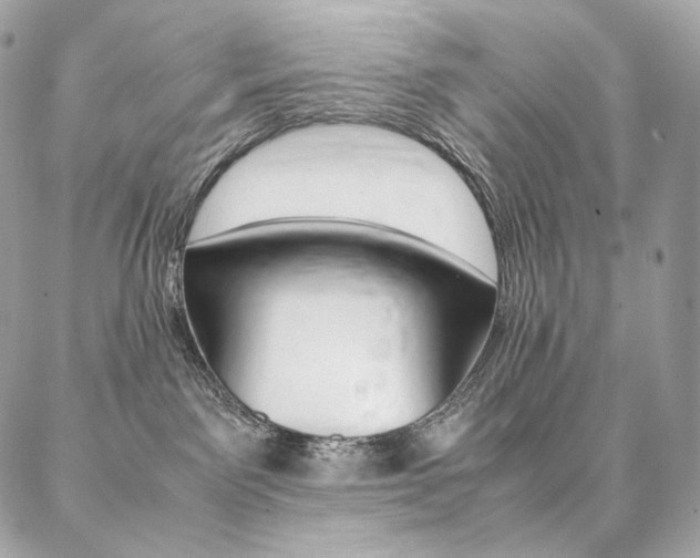 X0000086920141200704161043