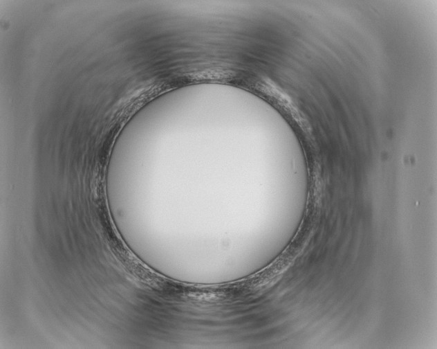 X0000086920161200704161043