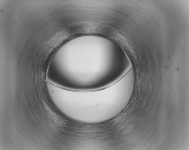 X0000086920164200704161043