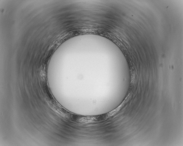 X0000086920179200704161043