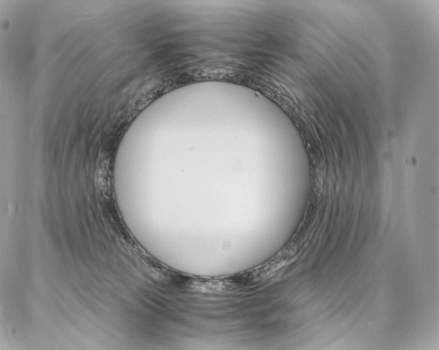 X0000086920181200704161043