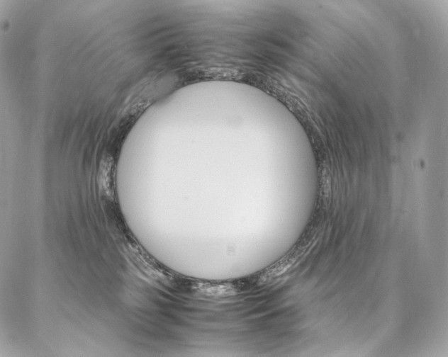 X0000086920185200704161043