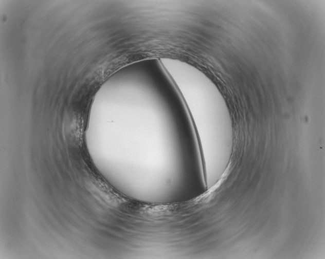 X0000086920186200704161043