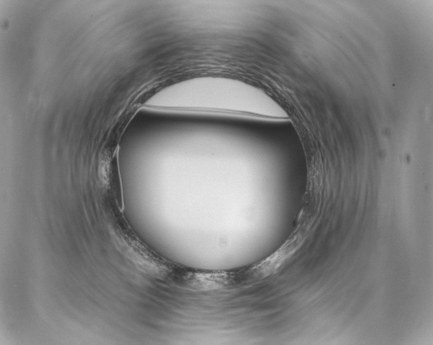 X0000086920188200704161043