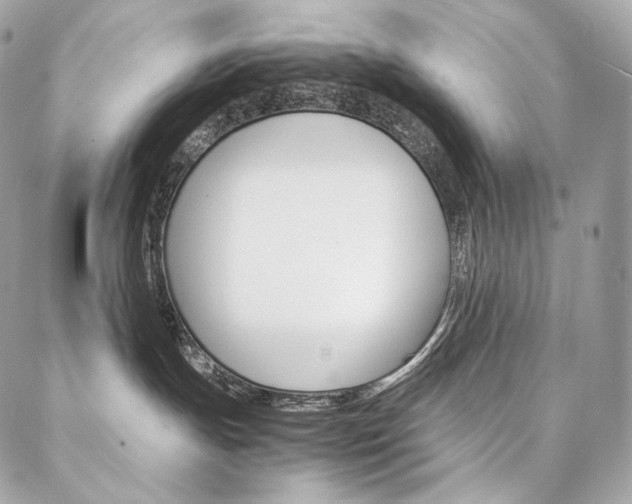 X0000086920191200704161043
