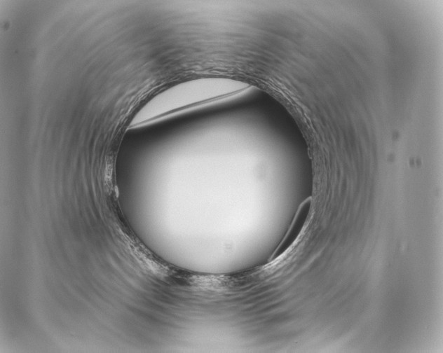 X0000086920192200704161043