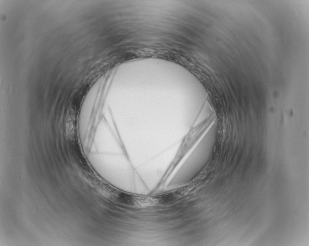 X0000086920226200704161042
