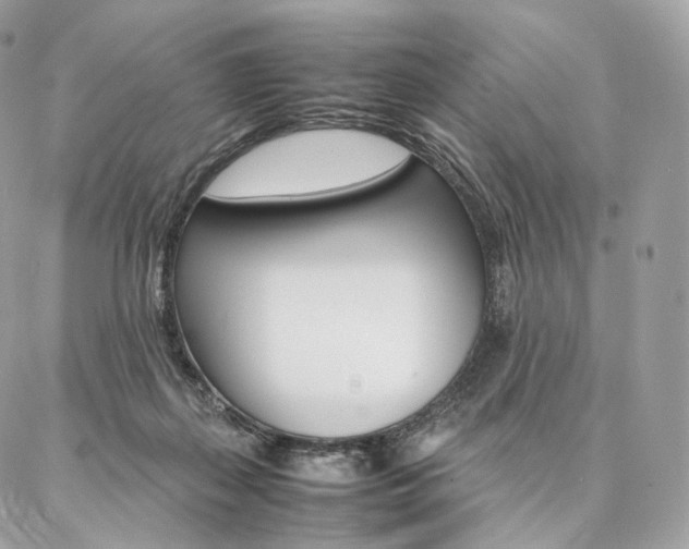 X0000086920267200704161041