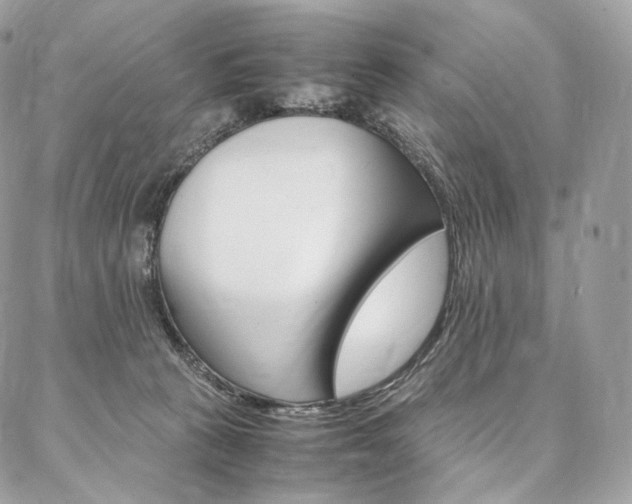 X0000086920273200704161041