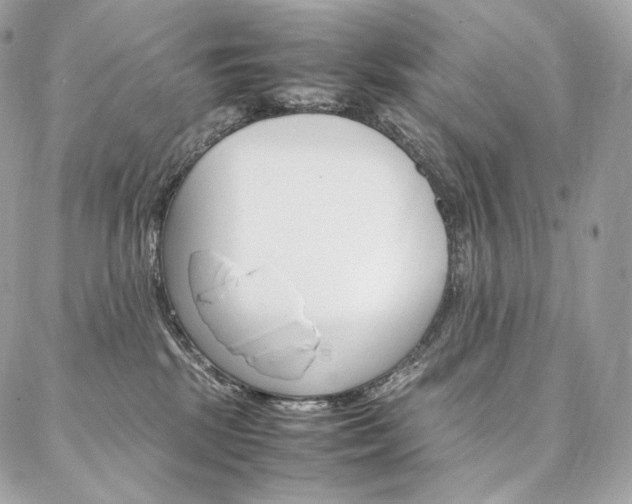 X0000086920281200704161042