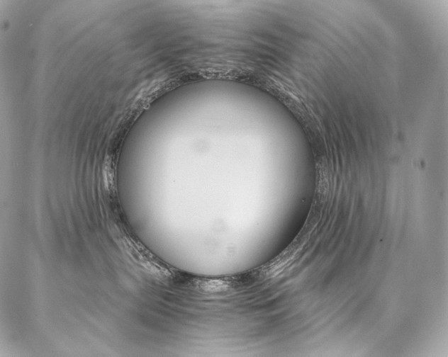 X0000086920287200704161042