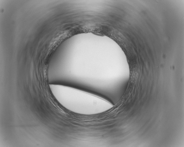 X0000086920335200704161040