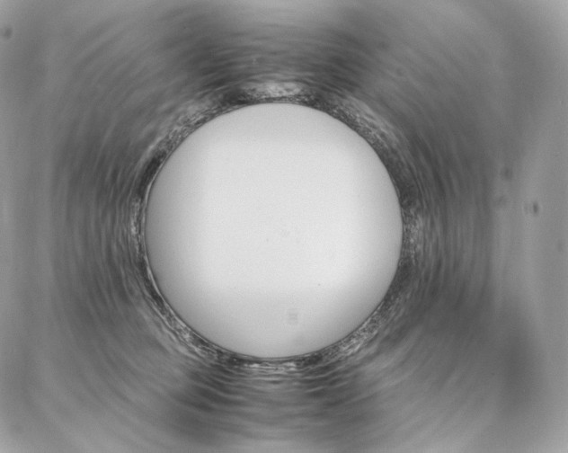 X0000086920373200704161040