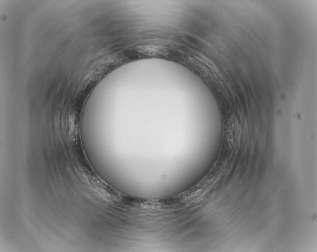 X0000086920420200704161039