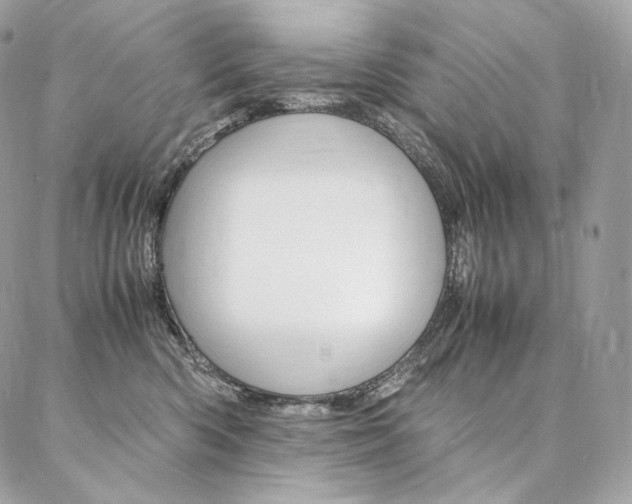 X0000086920426200704161039