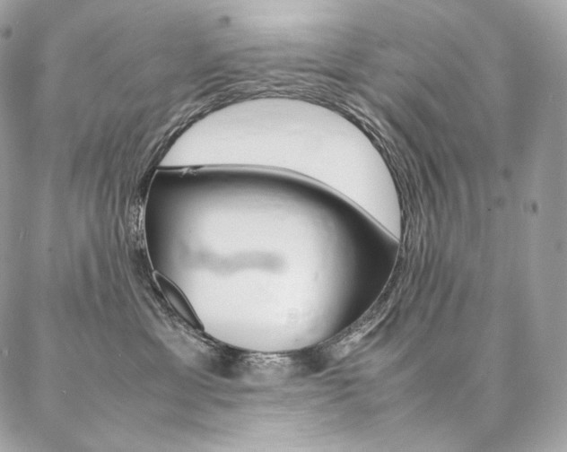 X0000086920429200704161039