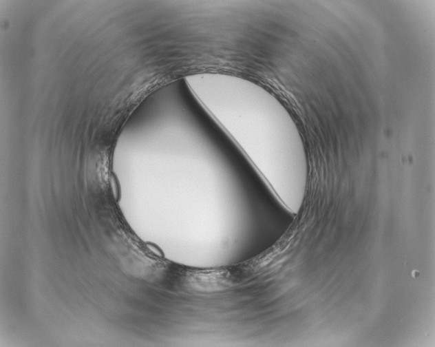 X0000086920479200704161039