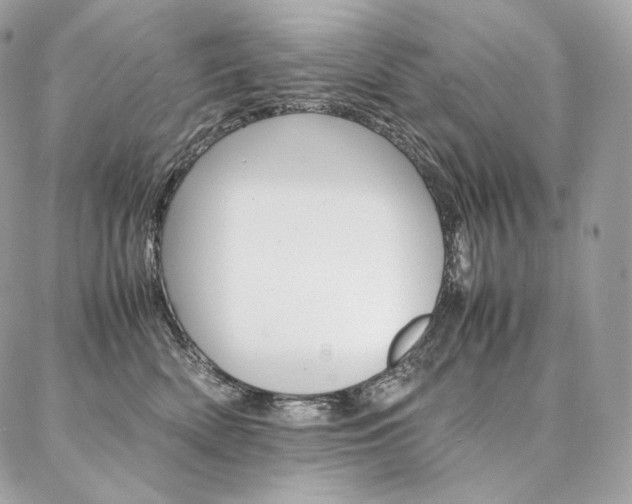 X0000086920522200704161037