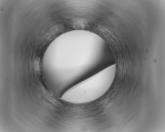 X0000086920616200704161035
