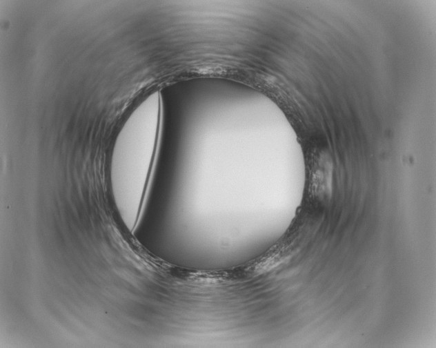 X0000086920620200704161035