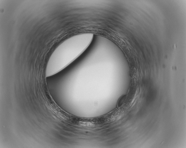 X0000086920649200704161035