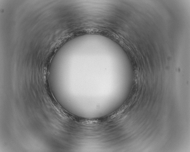 X0000086920664200704161035
