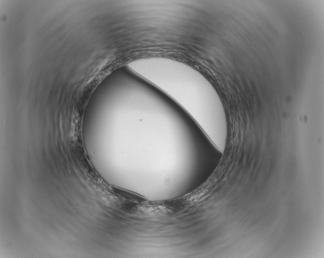 X0000086920712200704161034