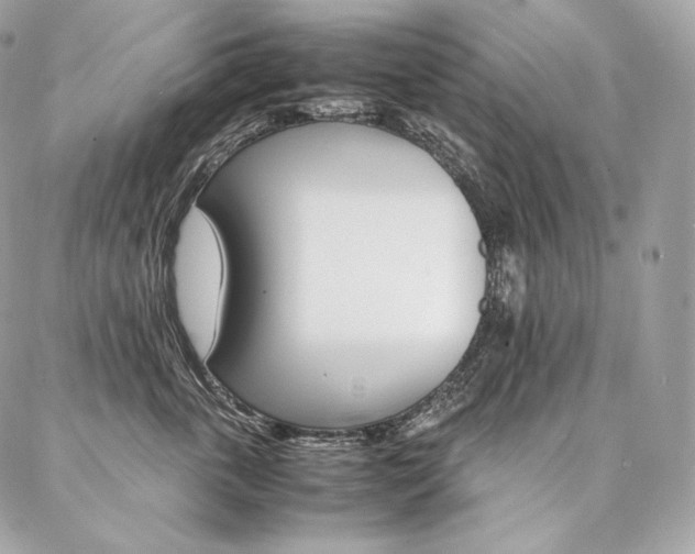 X0000086920763200704161034