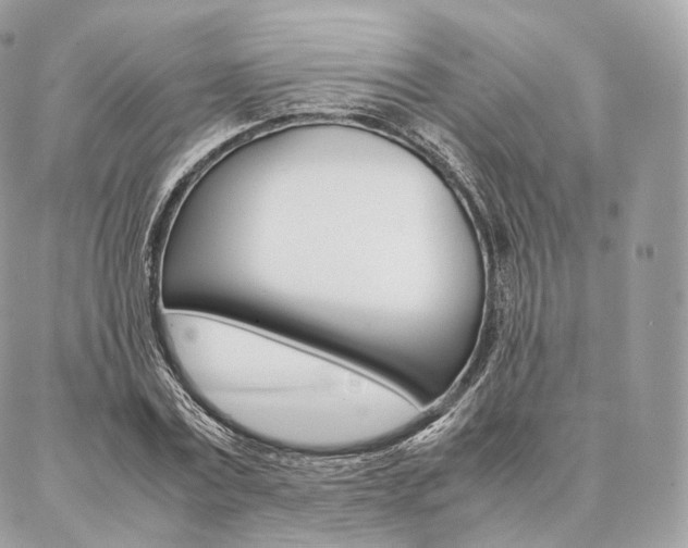 X0000086920779200704161033