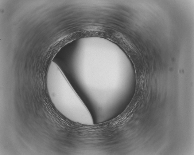 X0000086920821200704161031