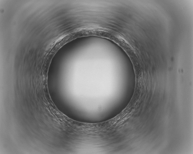 X0000086920822200704161031