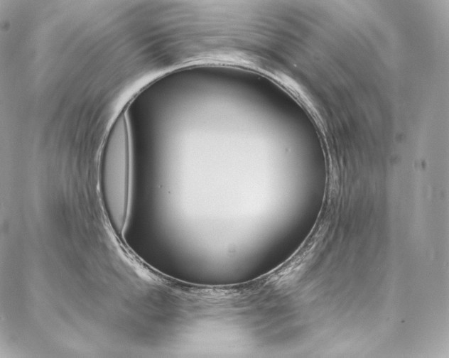X0000086920862200704161032