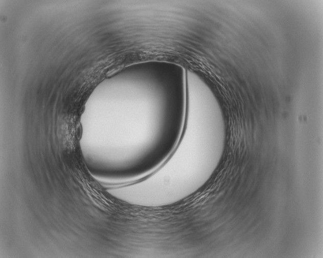X0000086920868200704161031