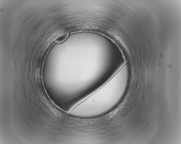 X0000086920881200704161031