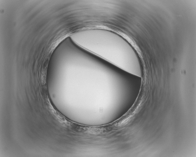 X0000086920905200704161031