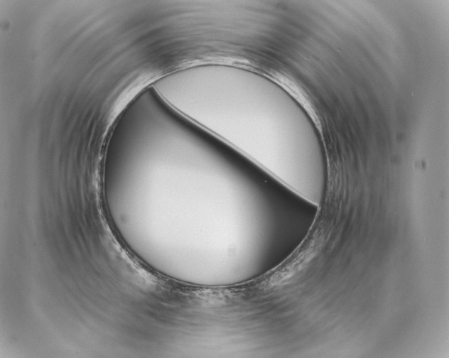 X0000086920906200704161031